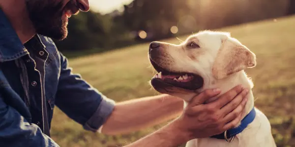 Man met zijn hond