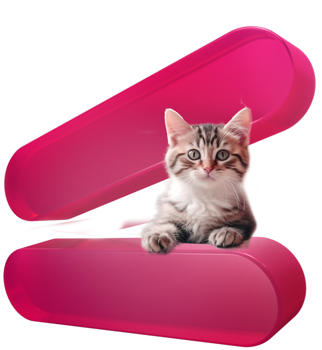 chats