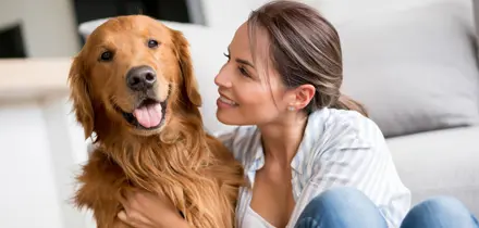 Adoption d'un chien de refuge