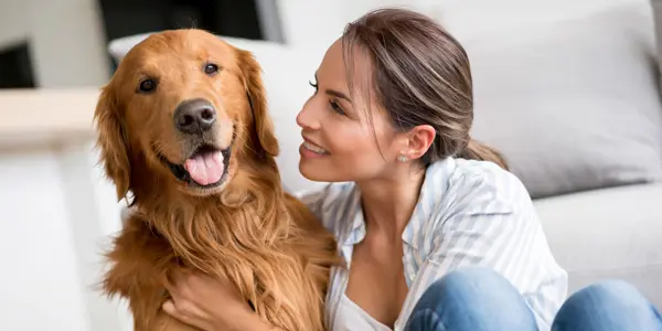 Adoption d'un chien de refuge