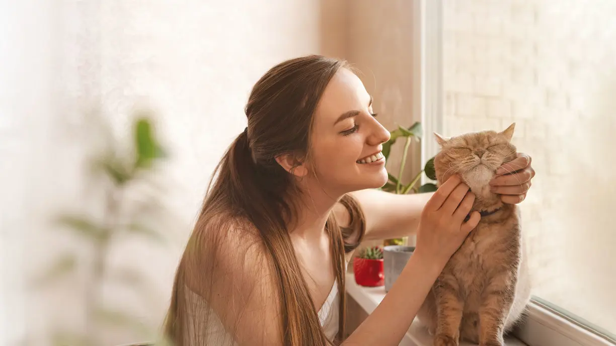 Chat