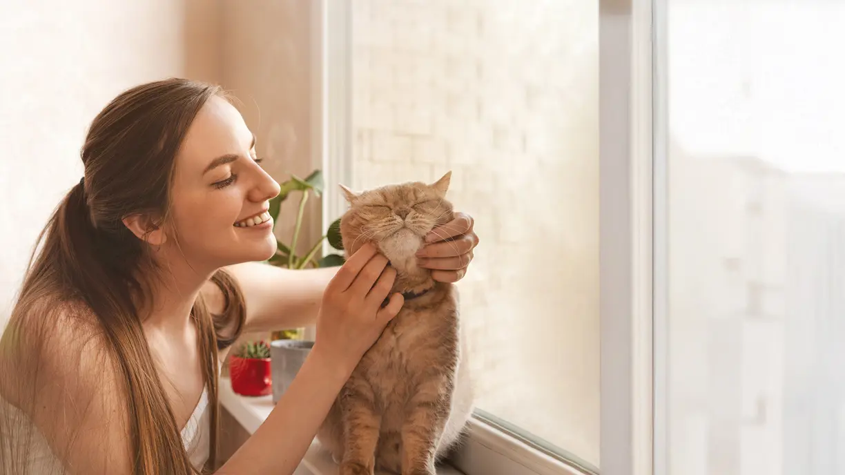 Chat